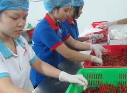 Phần mềm kế toán MISA SME – 27 năm số 1 Việt Nam