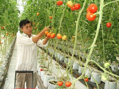 Phần mềm kế toán MISA SME – 27 năm số 1 Việt Nam