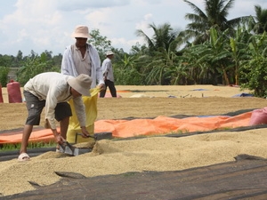 Phần mềm kế toán MISA SME – 27 năm số 1 Việt Nam