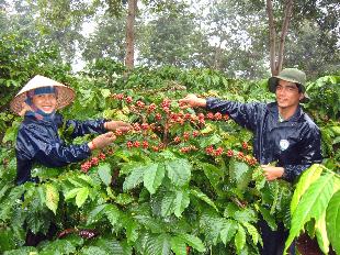 Phần mềm kế toán MISA SME – 27 năm số 1 Việt Nam