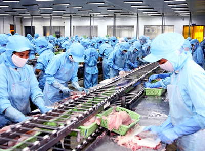 Phần mềm kế toán MISA SME – 27 năm số 1 Việt Nam