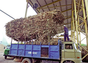 Phần mềm kế toán MISA SME – 27 năm số 1 Việt Nam