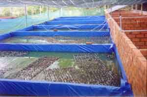 Phần mềm kế toán MISA SME – 27 năm số 1 Việt Nam