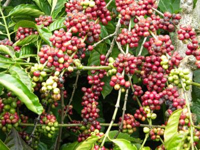 Phần mềm kế toán MISA SME – 27 năm số 1 Việt Nam