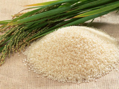 Phần mềm kế toán MISA SME – 27 năm số 1 Việt Nam