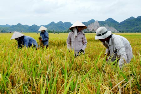 Phần mềm kế toán MISA SME – 27 năm số 1 Việt Nam