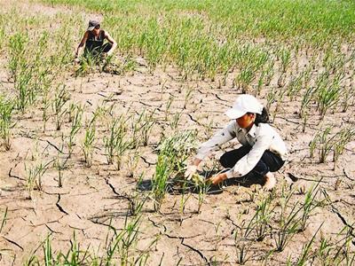 Phần mềm kế toán MISA SME – 27 năm số 1 Việt Nam