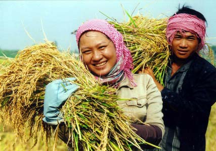 Phần mềm kế toán MISA SME – 27 năm số 1 Việt Nam