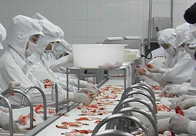 Phần mềm kế toán MISA SME – 27 năm số 1 Việt Nam