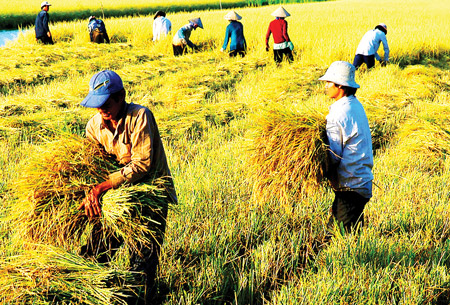 Phần mềm kế toán MISA SME – 27 năm số 1 Việt Nam