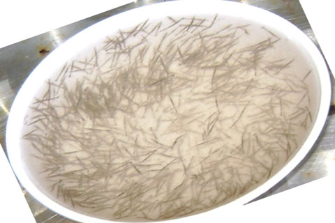 Phần mềm kế toán MISA SME – 27 năm số 1 Việt Nam