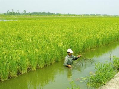Phần mềm kế toán MISA SME – 27 năm số 1 Việt Nam