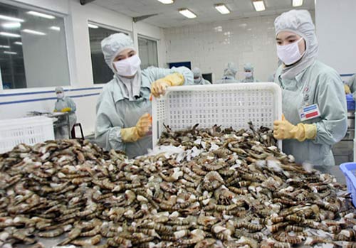 Phần mềm kế toán MISA SME – 27 năm số 1 Việt Nam