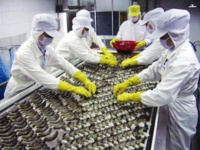 Phần mềm kế toán MISA SME – 27 năm số 1 Việt Nam