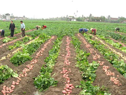 Phần mềm kế toán MISA SME – 27 năm số 1 Việt Nam