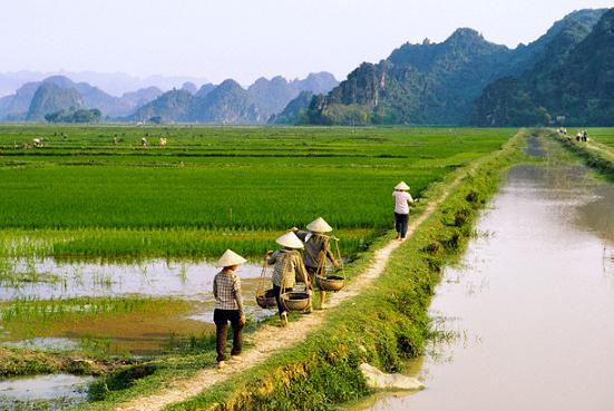 Phần mềm kế toán MISA SME – 27 năm số 1 Việt Nam