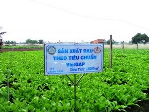 Phần mềm kế toán MISA SME – 27 năm số 1 Việt Nam