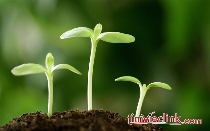 Phần mềm kế toán MISA SME – 27 năm số 1 Việt Nam