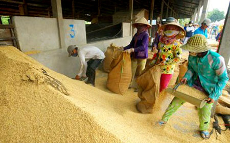 Phần mềm kế toán MISA SME – 27 năm số 1 Việt Nam