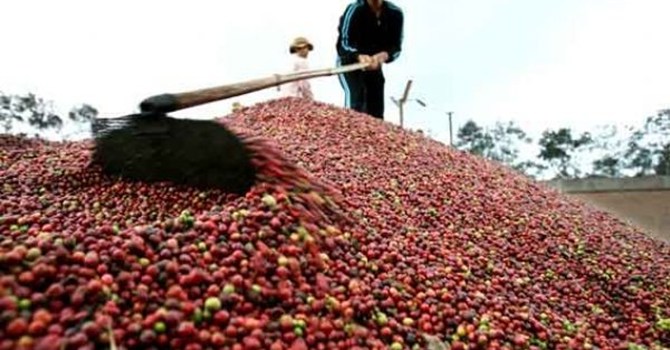 Phần mềm kế toán MISA SME – 27 năm số 1 Việt Nam