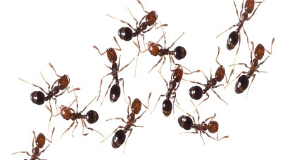 Phần mềm kế toán MISA SME – 27 năm số 1 Việt Nam