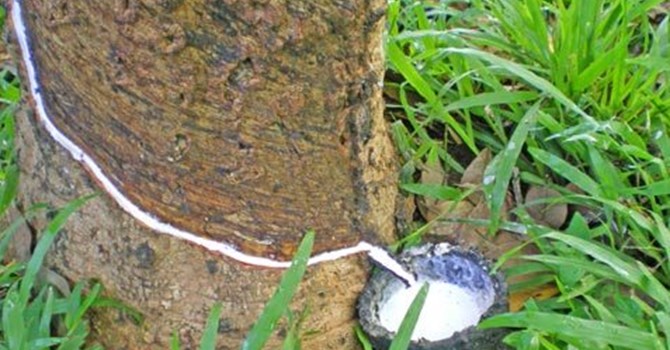 Phần mềm kế toán MISA SME – 27 năm số 1 Việt Nam
