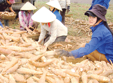 Phần mềm kế toán MISA SME – 27 năm số 1 Việt Nam