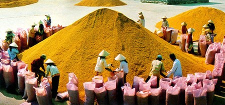 Phần mềm kế toán MISA SME – 27 năm số 1 Việt Nam