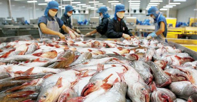 Phần mềm kế toán MISA SME – 27 năm số 1 Việt Nam