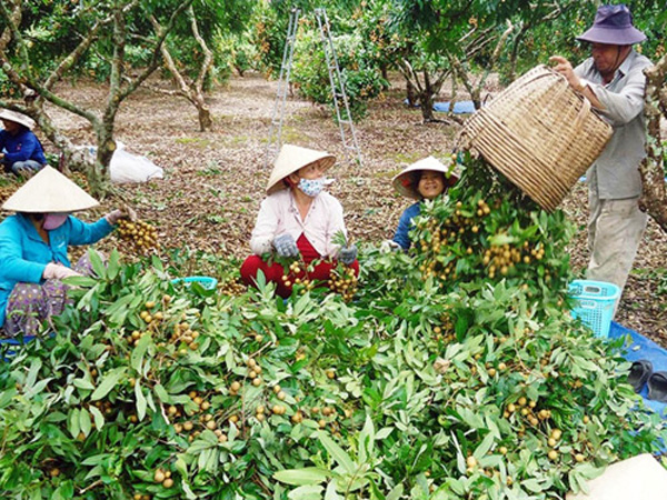 Phần mềm kế toán MISA SME – 27 năm số 1 Việt Nam