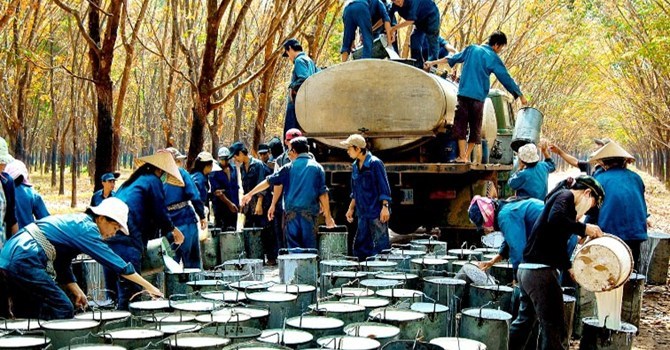Phần mềm kế toán MISA SME – 27 năm số 1 Việt Nam