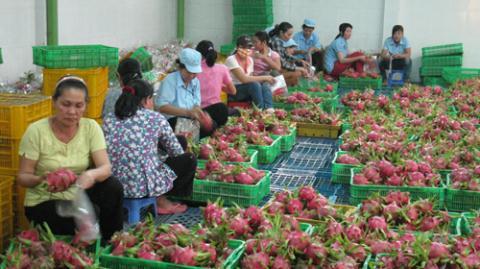Phần mềm kế toán MISA SME – 27 năm số 1 Việt Nam