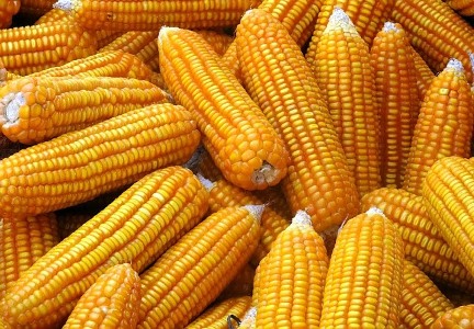 Phần mềm kế toán MISA SME – 27 năm số 1 Việt Nam