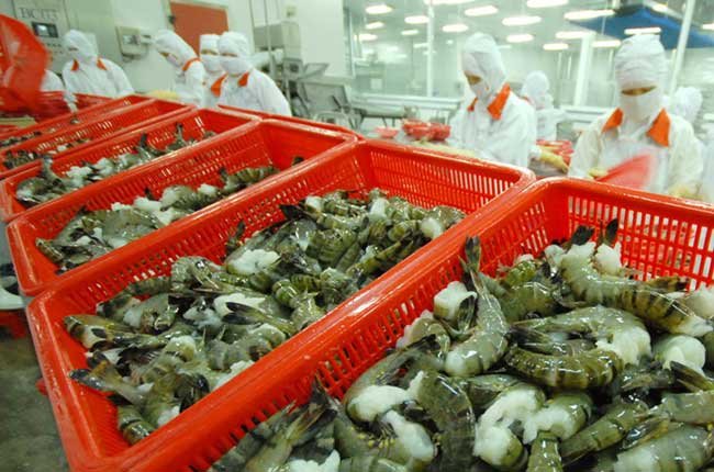 Phần mềm kế toán MISA SME – 27 năm số 1 Việt Nam