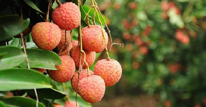 Phần mềm kế toán MISA SME – 27 năm số 1 Việt Nam