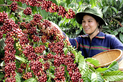 Phần mềm kế toán MISA SME – 27 năm số 1 Việt Nam