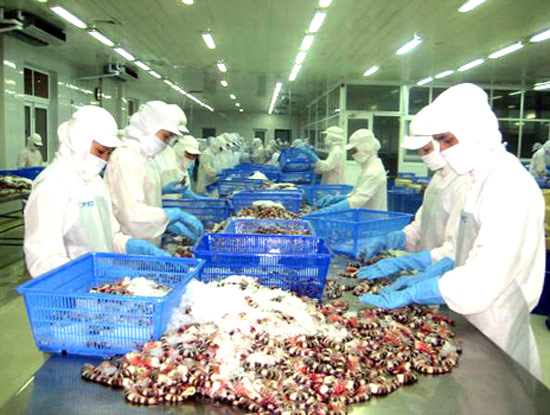 Phần mềm kế toán MISA SME – 27 năm số 1 Việt Nam