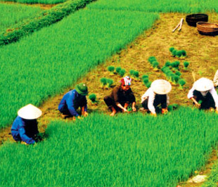 Phần mềm kế toán MISA SME – 27 năm số 1 Việt Nam