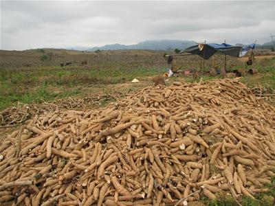Phần mềm kế toán MISA SME – 27 năm số 1 Việt Nam