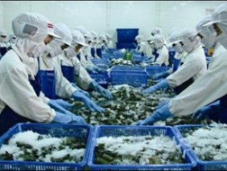 Tạo động lực cho thị trường xuất khẩu