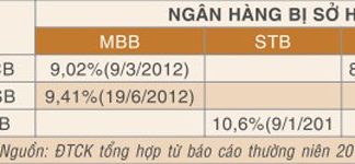 Ai là chủ thực sự của các ngân hàng?