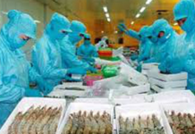 Năm 2016: Tốc độ tăng GDP toàn ngành nông nghiệp đạt 1,2%