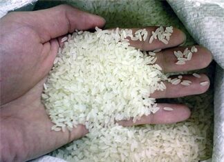 Thiếu thương hiệu gạo VN xuất khẩu: Không phải do thiếu lúa giống chất lượng