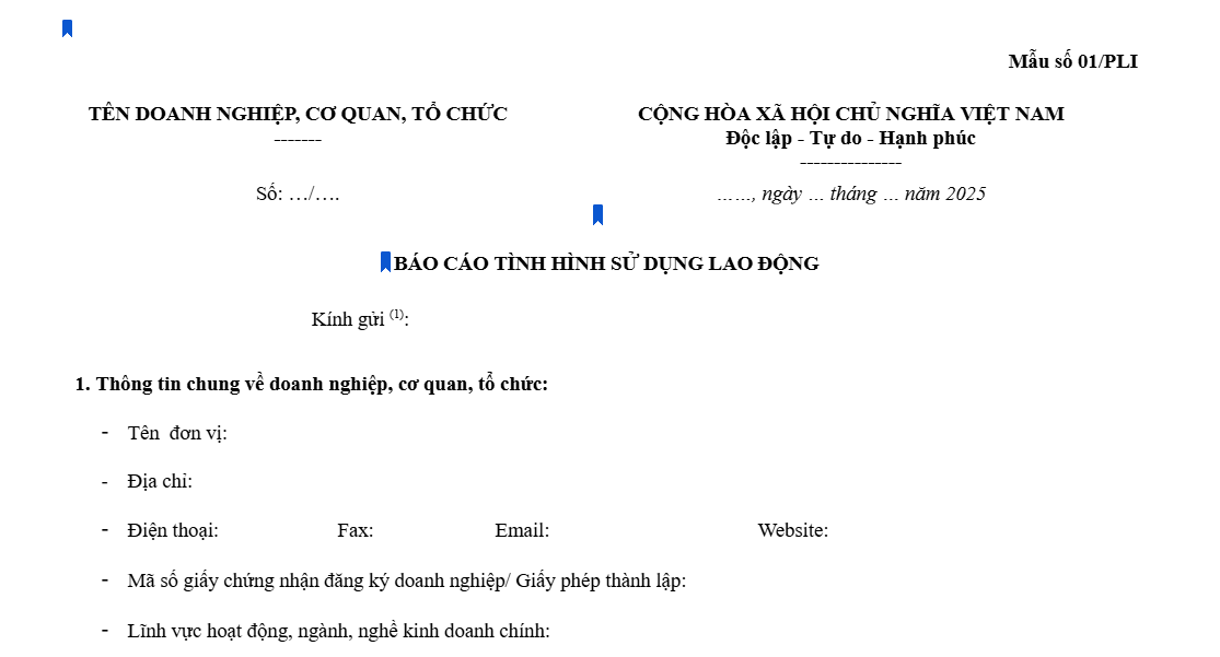 link nộp báo cáo tình hình sử dụng lao động