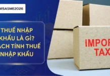 Thuế nhập khẩu là gì? Cách tính thuế nhập khẩu, thuế suất và trị giá tính thuế theo quy định
